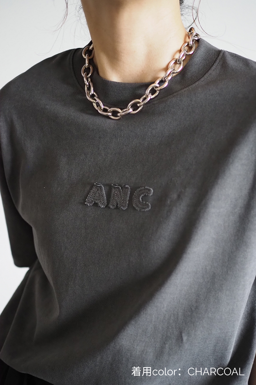 ヴィンテージANCロゴＴシャツ