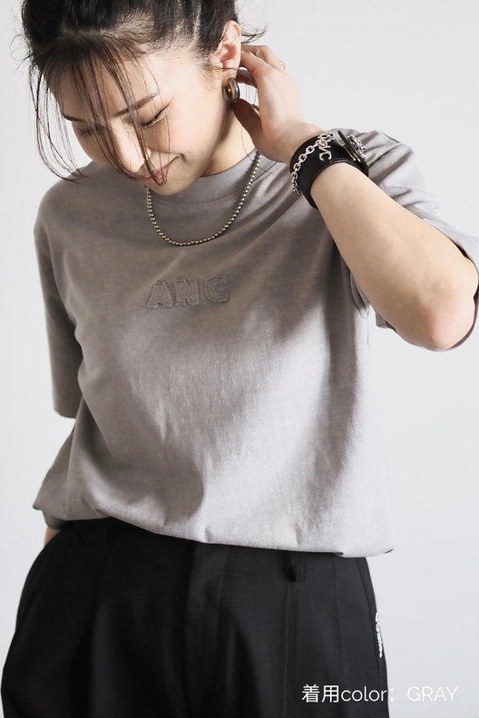 ヴィンテージANCロゴＴシャツ