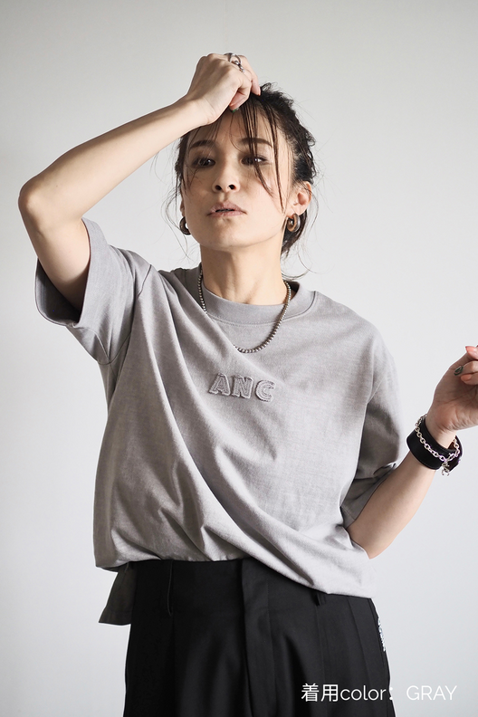 ヴィンテージANCロゴＴシャツ