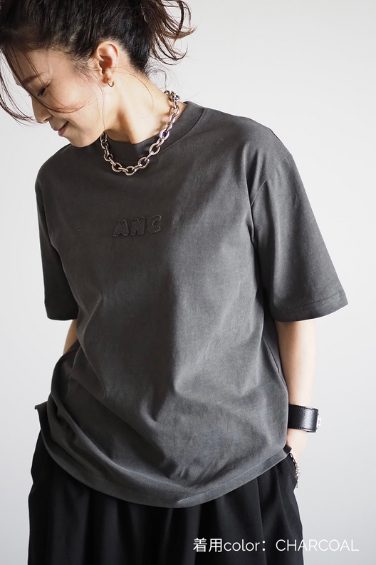 ヴィンテージANCロゴＴシャツ