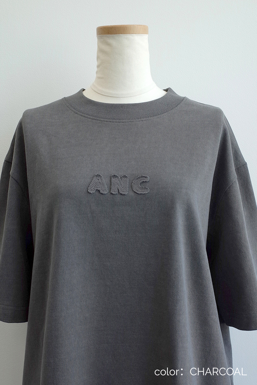 ヴィンテージANCロゴＴシャツ
