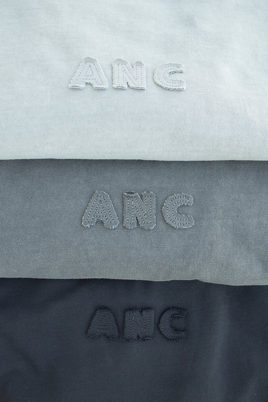 ヴィンテージANCロゴＴシャツ